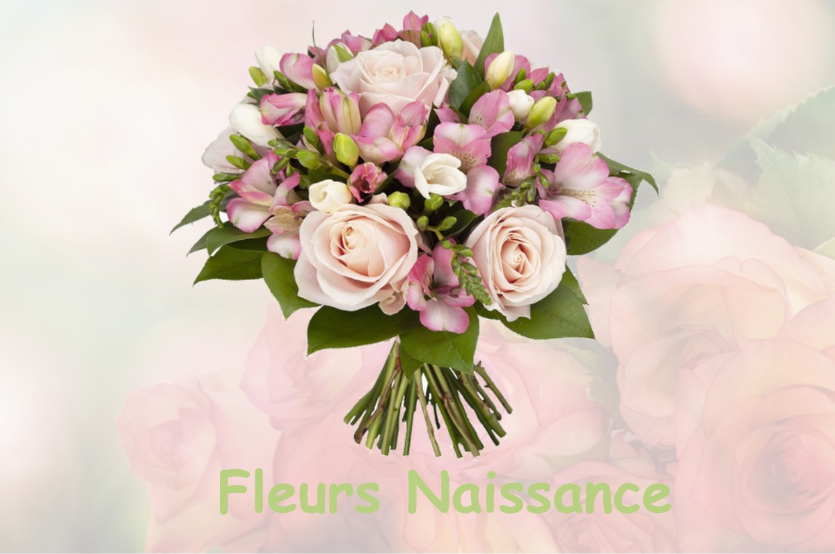 fleurs naissance SAINTE-CROIX-A-LAUZE